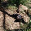 australia_04