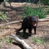 australia_05