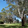 australia_07