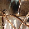australia_08