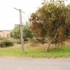 australia_102