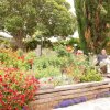 australia_109