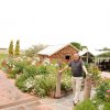 australia_111