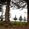 australia_116