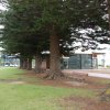 australia_120