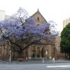 australia_129