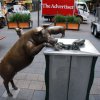 australia_141