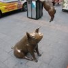 australia_143