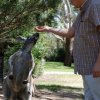 australia_15