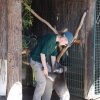 australia_19