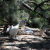 australia_24