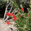 australia_26