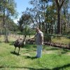 australia_28