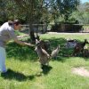 australia_29