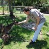 australia_31