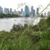australia_59