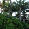 australia_70