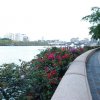 australia_75