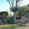 australia_89