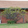 australia_90