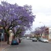 australia_95