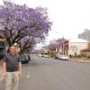 australia_96