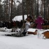 bohojablenia_12_36