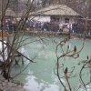 bohojavlenia_1544