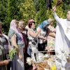 _mg_999517