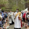 95IMG_1632-95