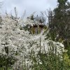 99IMG_1637-99
