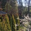 velykden_1744_resize