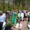 Вербна неділя